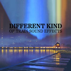 Different Kind of Train Sound Effects: Train Sounds on Track a Rainy Night - Sound Effects Music Set