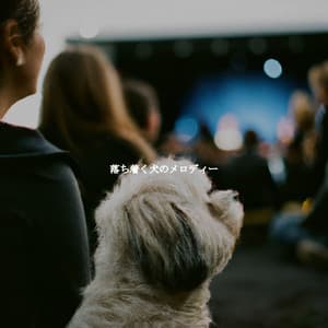 落ち着く犬のメロディー - Soft Jazz & Coffee