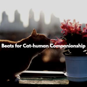Beats for Cat-human Companionship - Türk Restoranlar için Müzik