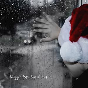 Drizzle Rain Sounds Vol. 2 - Rain Sounds Nature Collection
