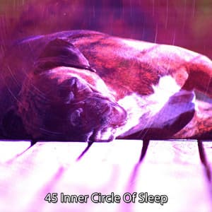 45 Inner Circle Of Sleep - Baby Rest