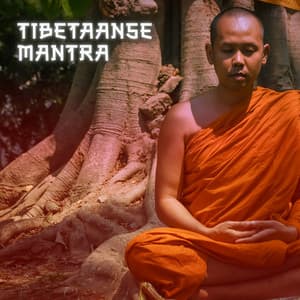 Tibetaanse Mantra - Daves Gordson