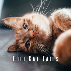 Lofi Cat Tails: Ambient Sounds for Cat's Relaxation - Chill Hop Playlist