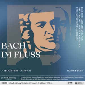 Bach im Fluss - Rudolf Lutz