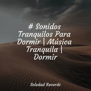 # Sonidos Tranquilos Para Dormir | Música Tranquila | Dormir - Música Zen Relaxante