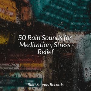 50 Rain Sounds for Meditation, Stress Relief - Deep Sleep Relaxation