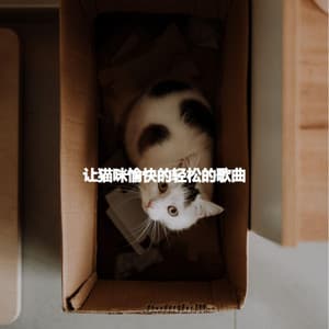 让猫咪愉快的轻松的歌曲 - Café Vintage
