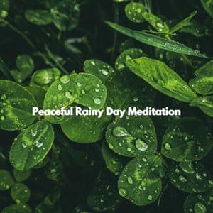 Peaceful Rainy Day Meditation - Chicago Jazz Cafe