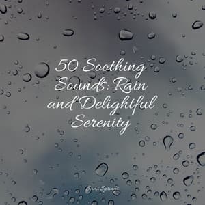 50 Soothing Sounds: Rain and Delightful Serenity - Natural Sample Makers