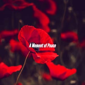 A Moment of Peace - Easy Listening Jazz