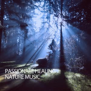 Passionate Healing Nature Music - Hi Freq Samples