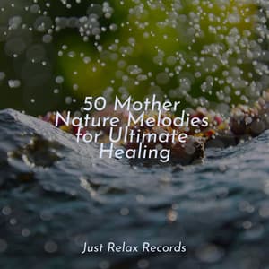 50 Mother Nature Melodies for Ultimate Healing - Dormir
