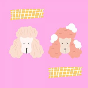 Bgm for Dog Memories - Music For Dogs