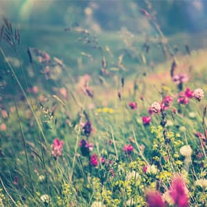 Meditation Time - Uyku Müzik