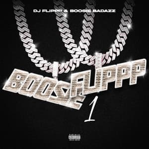 BoosieFlippp 1 - Boosie Badazz