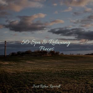 50 Spa & Relaxing Pieces - Yoga Music