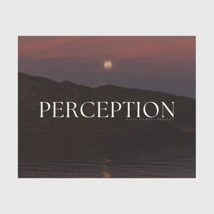 Perception - Meditation Awareness