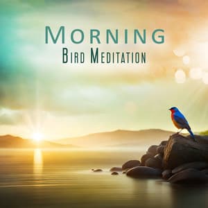 Morning Bird Meditation: Calm Morning Meditation Practice, Balance for Whole Day - Yoga Morning Meditation