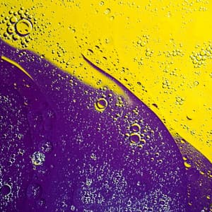 Dream Like Music for Loafing Evening - Latin Piano Jazz - Naomi Mcbride Projects