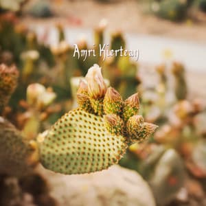 Desert Bloom - Amri Kiertean