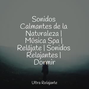 Sonidos Calmantes de la Naturaleza | Música Spa | Relájate | Sonidos Relajantes | Dormir - Sons da Natureza Relax