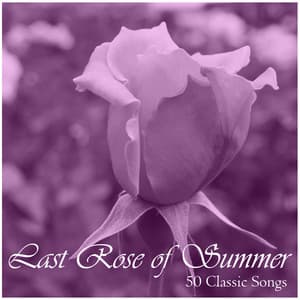 Last Rose of Summer: 50 Classic Songs - Piano Music Experts