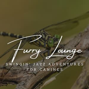 Harmony of Canine Jazz: Coffee Lounge Serenades for Your Pooch - Baris Jazz Waltz Attack