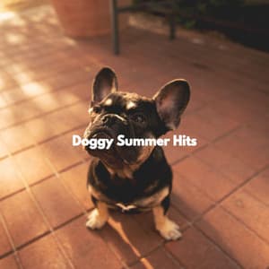 Doggy Summer Hits - Calming Dog Jazz