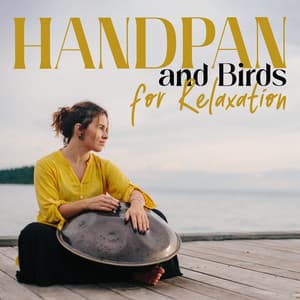 Handpan and Birds for Stillness - Asha Age