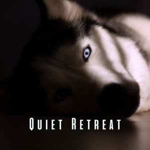 Quiet Retreat: Serene Melodies for Pet Meditation - Meditation Hz