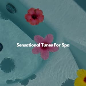Sensational Tunes For Spa - Spa Music Playlist