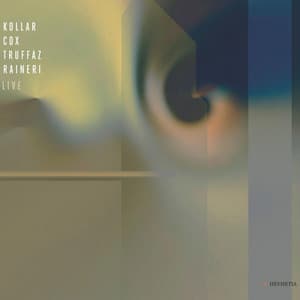Kollar / Cox / Truffaz / Raineri Live - David Kollar