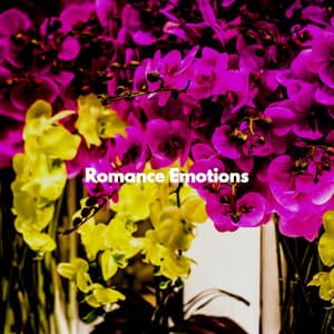 Romance Emotions - Cafe Music Deluxe