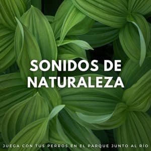 Sonidos De Naturaleza: Juega Con Tus Perros En El Parque Junto Al Río - Marinos