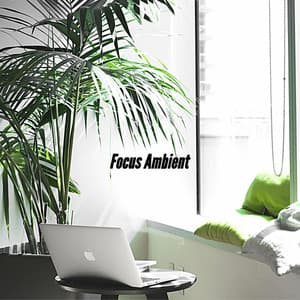 Focus Ambient - Coffee Shop Music Supreme