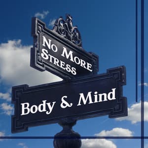 No More Stress: Body & Mind – Healing Power Music, Relaxation After Hard Work, Inner Peace & Positive Thinking, New Age Relaxing Vibes - Less Stress Music Academy