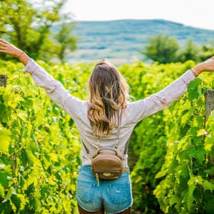 Nature's Embrace: A Serenade of Tranquil Beauty - JBE Nature Sounds