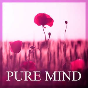 Pure Mind – Beautiful New Age Music for Relaxation Body, Soul & Mind, Healing Sounds of Birds and Drops Water, Relaxing Therapy, Peaceful Music for Rest after Hard Day, Nature Sounds - Relaxing Music Guys