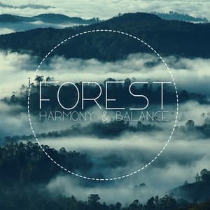 Forest Harmony & Balance: Natural Well-Being Music - Calm Singing Birds Zone