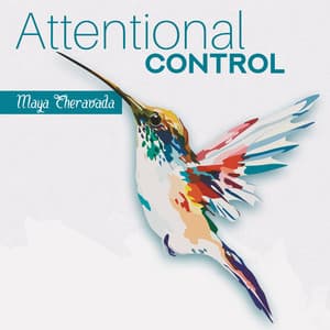 Attentional Control - Maya Theravada