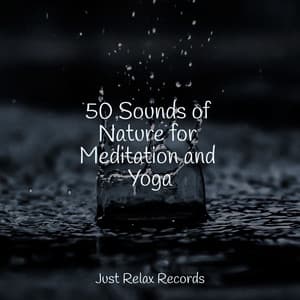 50 Sounds of Nature for Meditation and Yoga - Massage Therapy Music