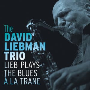 Lieb Plays the Blues À La Trane - The David Liebman Trio