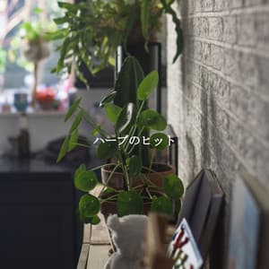 ハーブのヒット - Breakfast Lounge Music