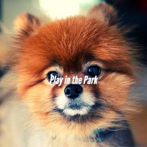 Play in the Park - Music For Dogs