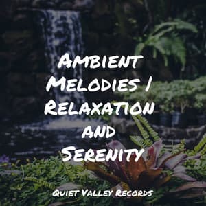 Ambient Melodies | Relaxation and Serenity - Música Zen Relaxante