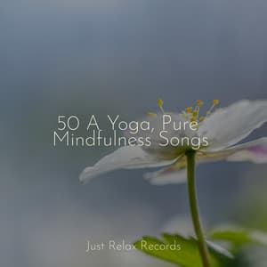 50 A Yoga, Pure Mindfulness Songs - Baby Lullaby
