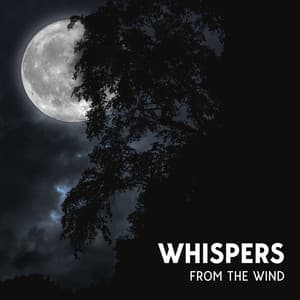 Invisible Drift - Earl Cooper