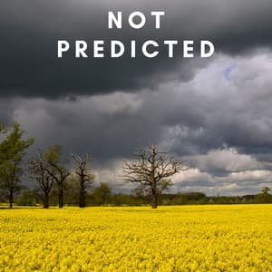 Not Predicted - Peaceful Me