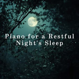 Piano for a Restful Night's Sleep - Dream House