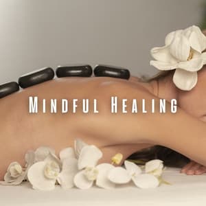 Mindful Healing: Spa Journey with Chill Music - Phosaasca